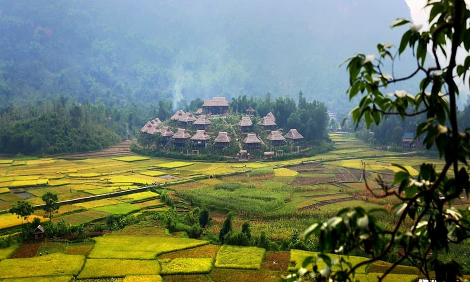 Thiên nhiên