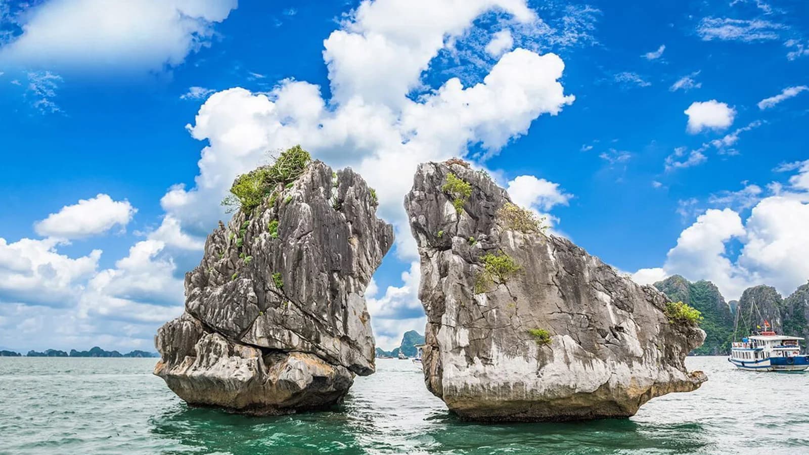 Vịnh Hạ Long