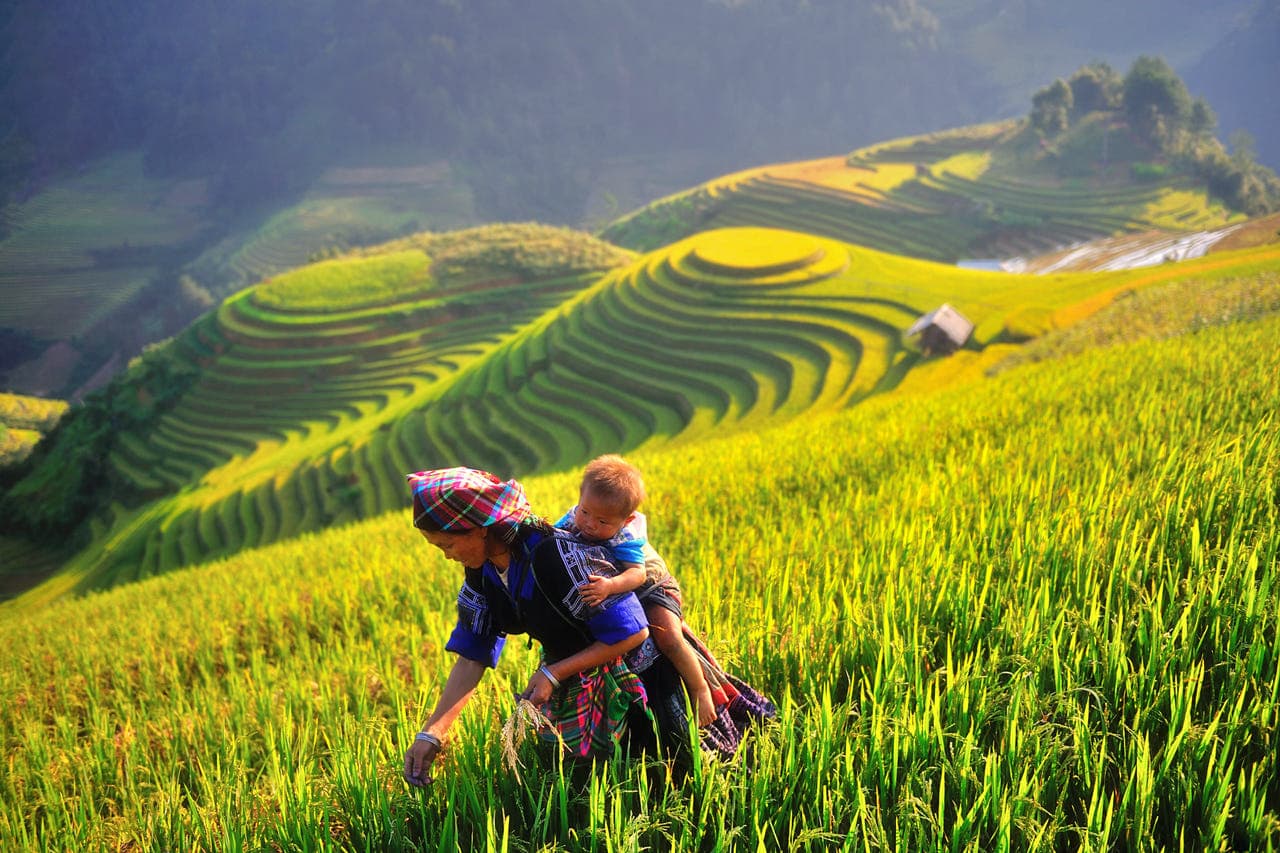 Ruộng Bậc Thang Mù Cang Chải